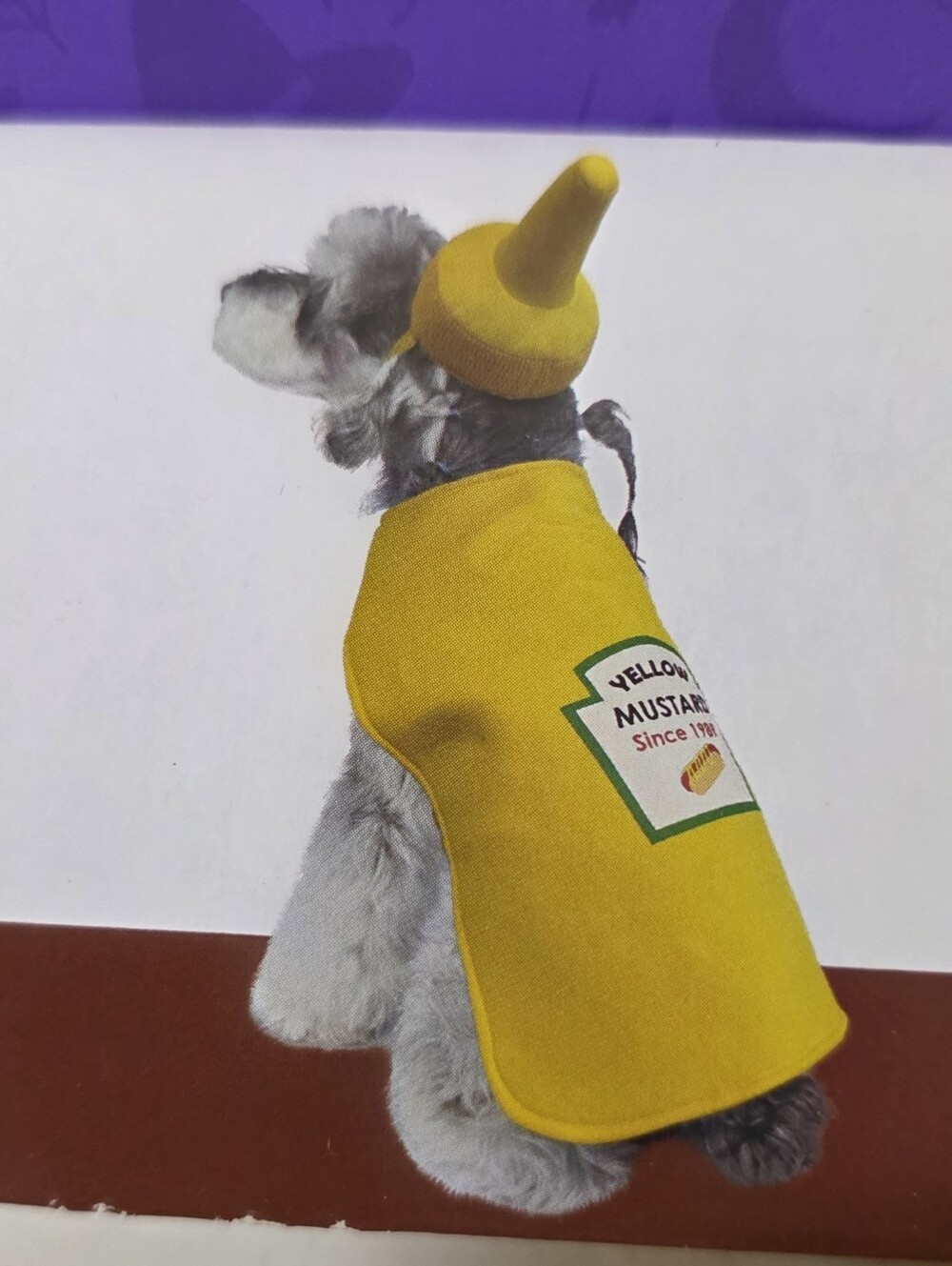 NWT Dog Halloween Costume XL Yellow Heinz Mustard Hot Dog Mustard Bottle Dress